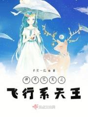神奇宝贝之飞行系天王 神奇宝贝之飞行系天王