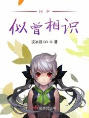 HP似曾相识 HP似曾相识