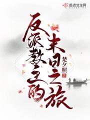 乾坤炼道 南灯 乾坤炼道 南灯
