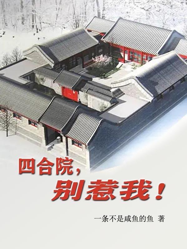 四合院,别惹我 四合院,别惹我
