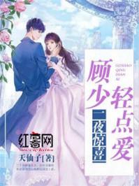 一夜惊喜,顾少轻轻宠 一夜惊喜,顾少轻轻宠