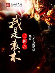 三国之我是袁术 三国之我是袁术