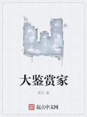 大鉴赏家 大鉴赏家
