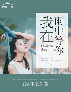 我在雨中等你 我在雨中等你