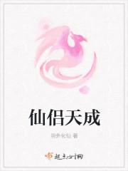 仙侣天成 仙侣天成