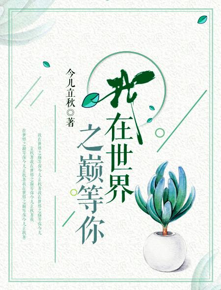 我在世界之巅等你 我在世界之巅等你