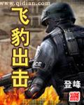 飞豹出击 飞豹出击